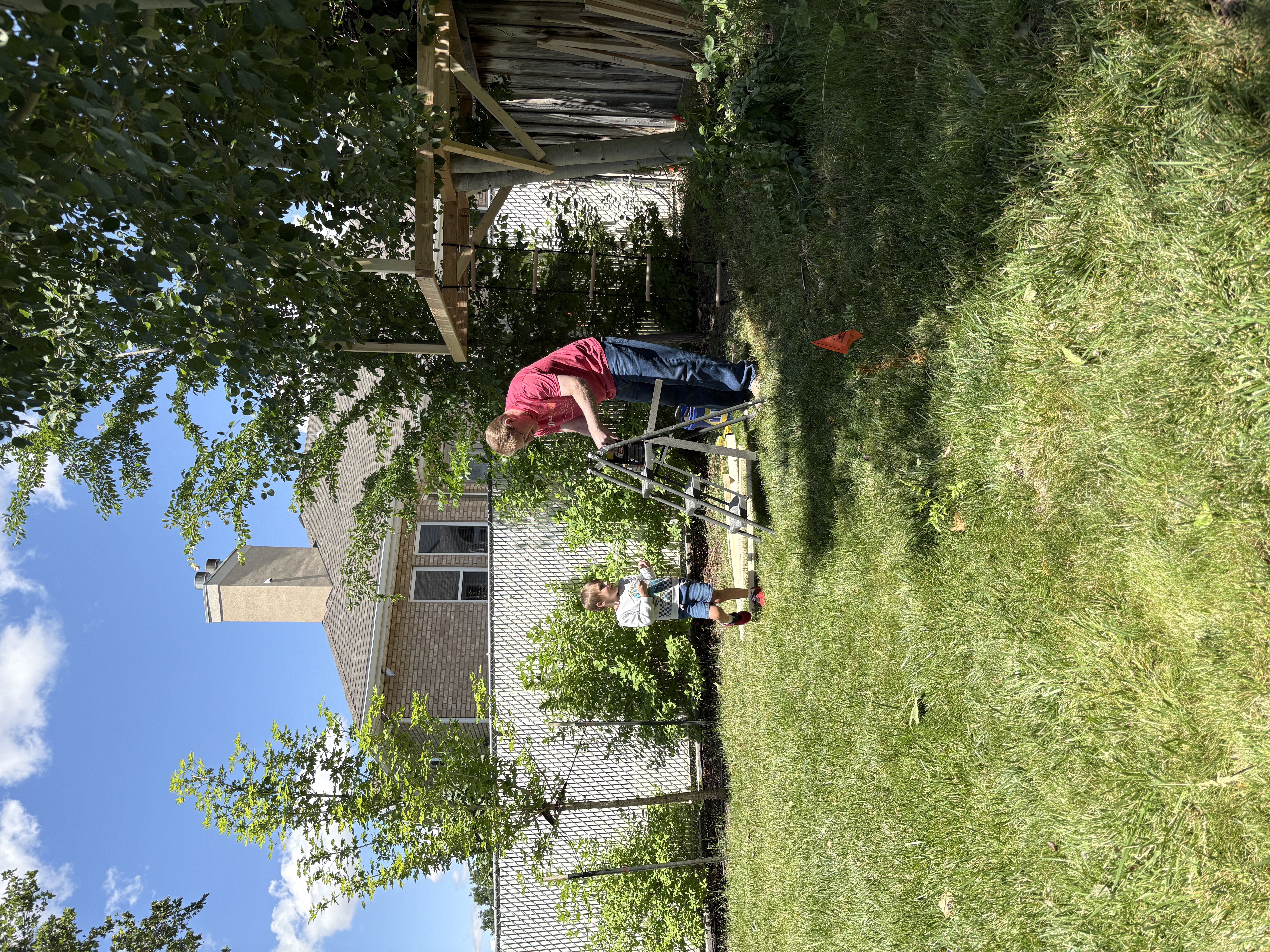 buildingtreehouse.jpeg